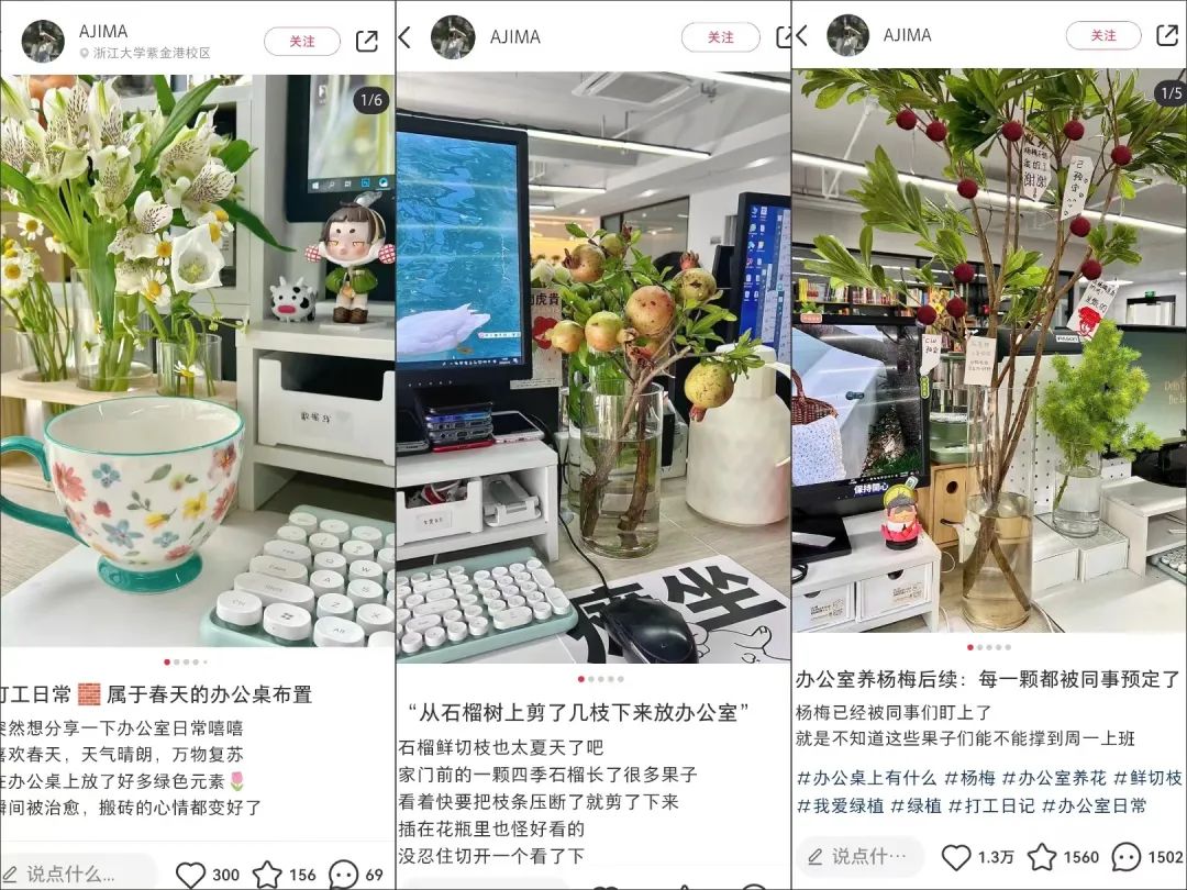 在办公室种&ldquo;下午茶&rdquo;，小红书流行&ldquo;果农&rdquo;风