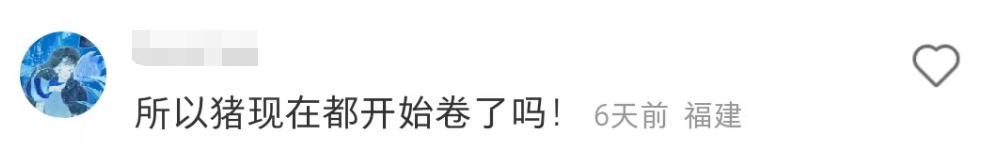 盒马的猪,把刘畊宏女孩卷疯了!
