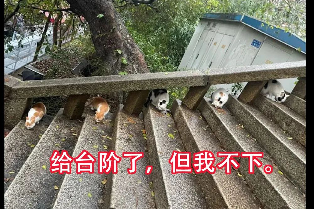 宿言:当我们做“品牌”时,到底该做些什么?