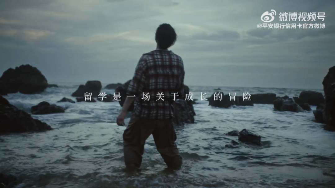 留学生的难题不再只是 &ldquo;番茄炒蛋&rdquo;，而是&ldquo;孤岛冒险&rdquo;