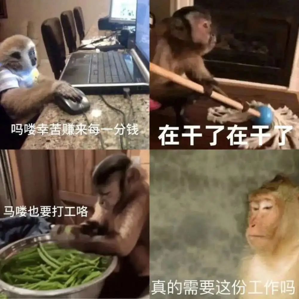 全网播放量超5亿,这届年轻人“偷感很重”
