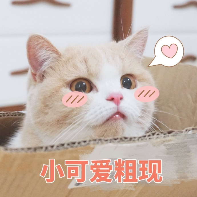 image.png image.png
