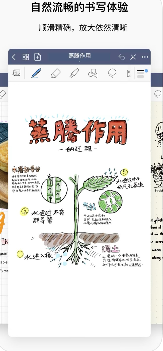 lADPJwKtwz7F2ELNBcnNAq8_687_1481.png lADPJwKtwz7F2ELNBcnNAq8_687_1481.png