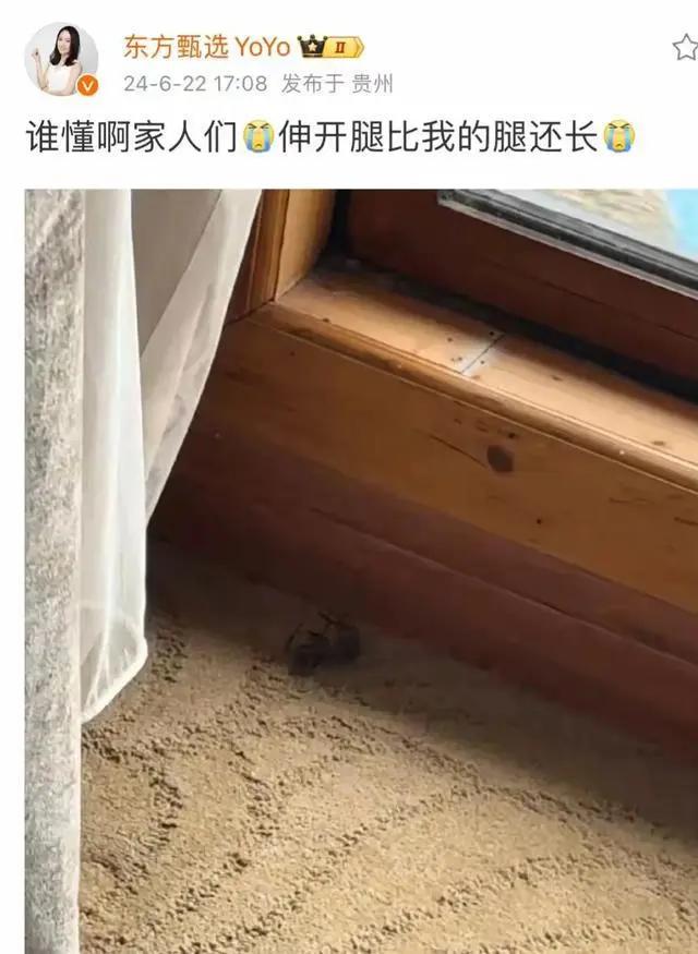 东方甄选PK与辉同行,输得很彻底!