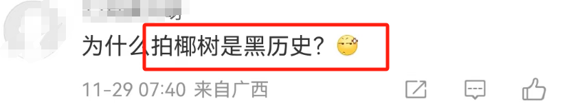 曝光椰树“黑料”,被这新晋网红笑不活了!