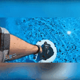 9.gif