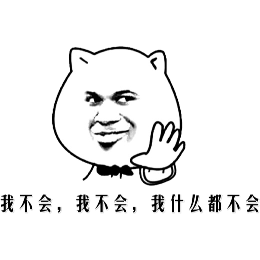 什么都不会.png