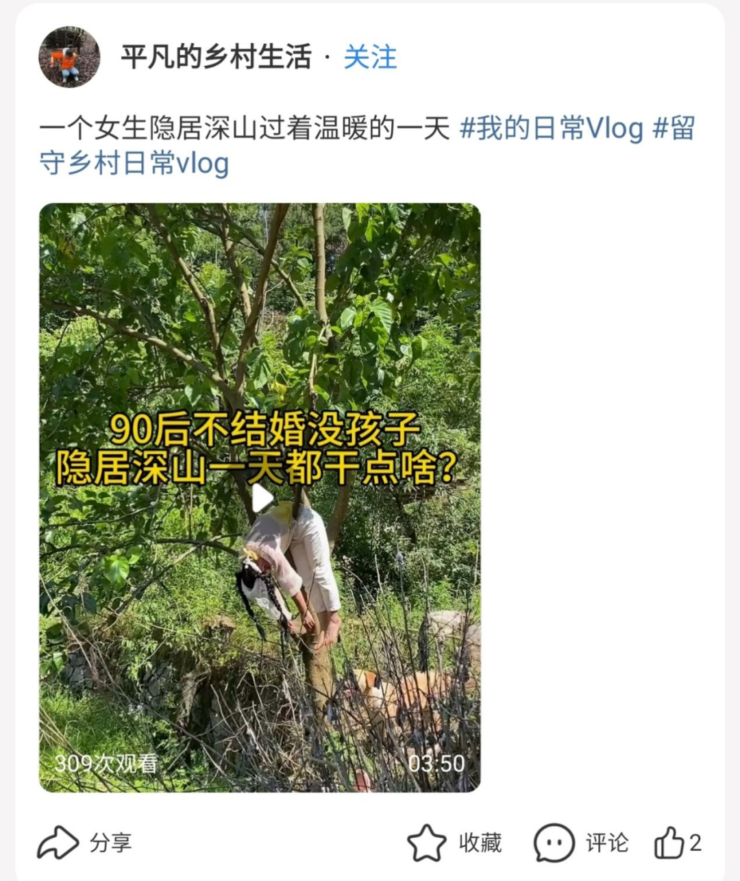 不愿回流上班,离职博主们不断寻找新的“栖息地”