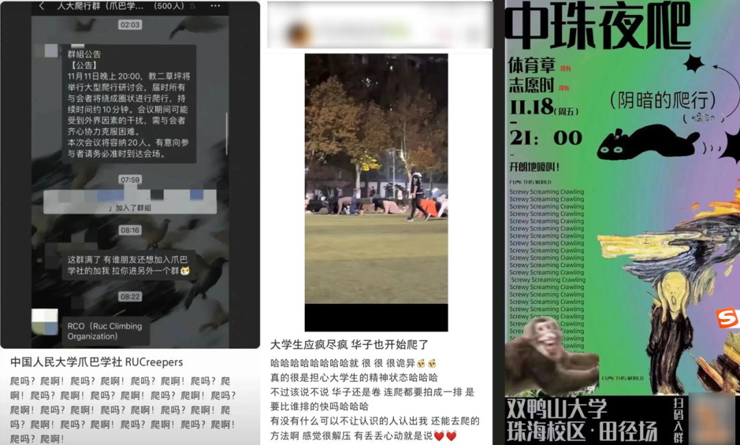 靠&ldquo;爬行&rdquo;在小红书获赞数万，这届年轻人发起疯来也太迷惑了&hellip;&hellip;