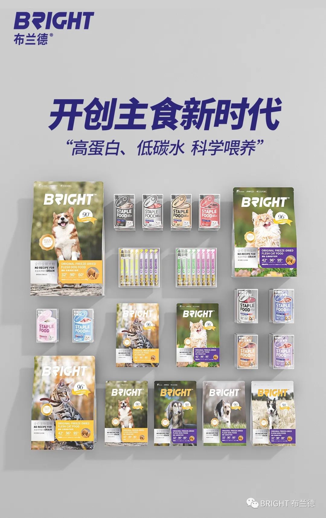 图3.jpeg 图3.jpeg