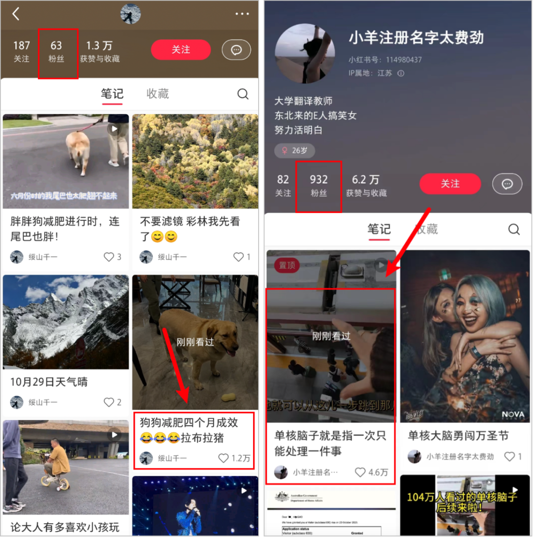 抖音小红书再无顶流?