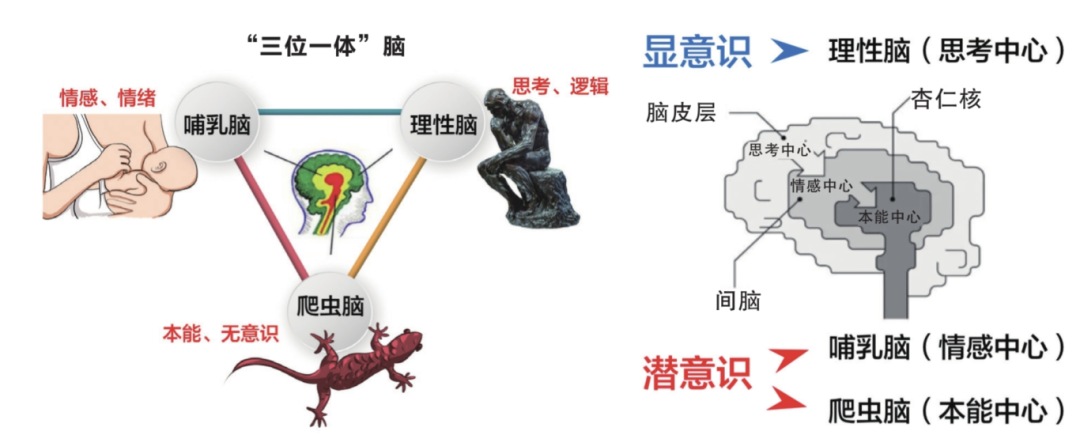当我们在谈IP时，我们在谈些什么？