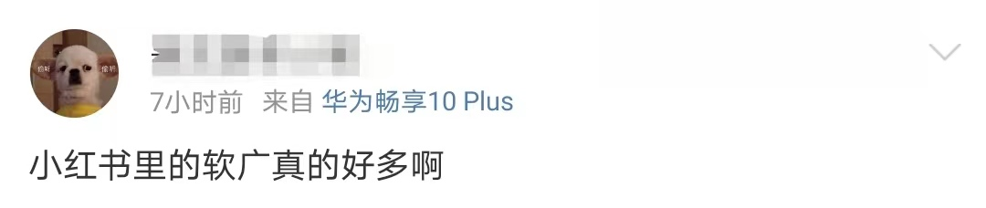 至本和且初开撕,最大输家是小红书