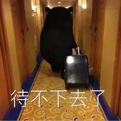 数据分析师春节跳槽指南