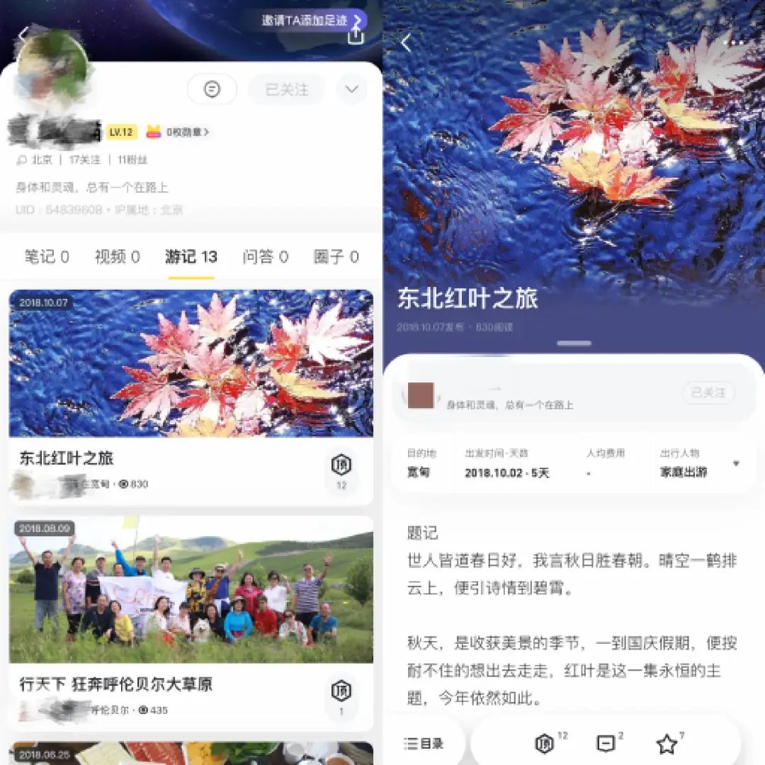 被“遗忘”的马蜂窝