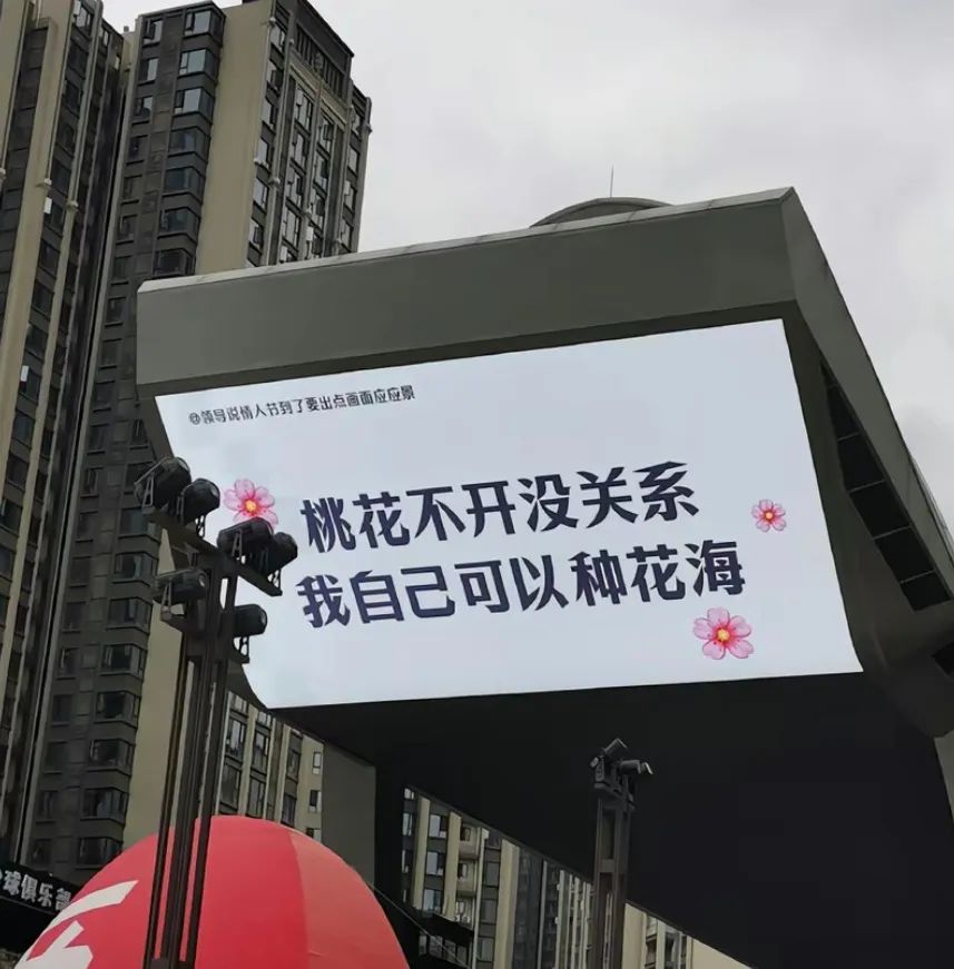 内江情人节出圈？单身狗的嘴替文案有了