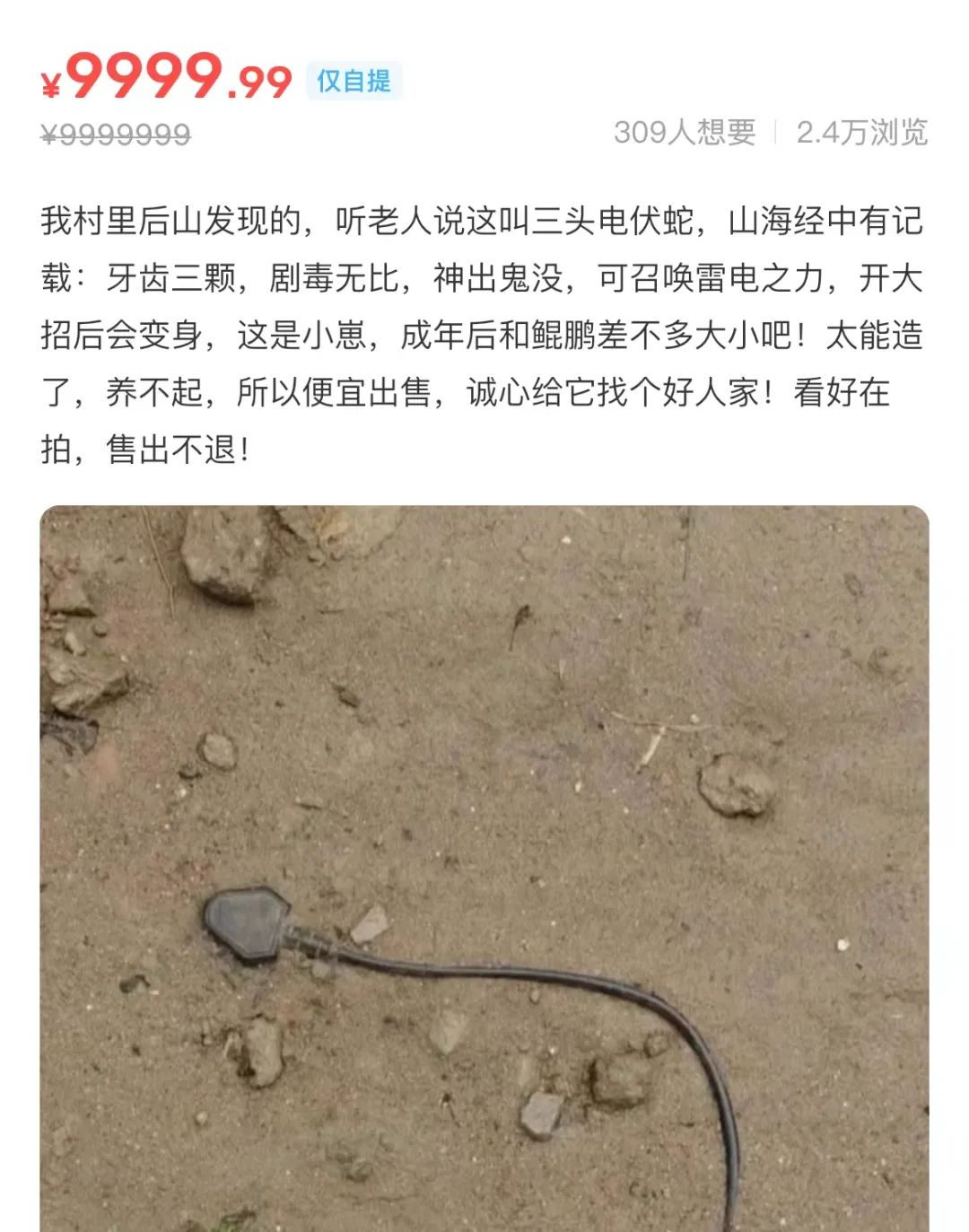 闲鱼抽奖送“蟑螂女仆”,比LV还疯!