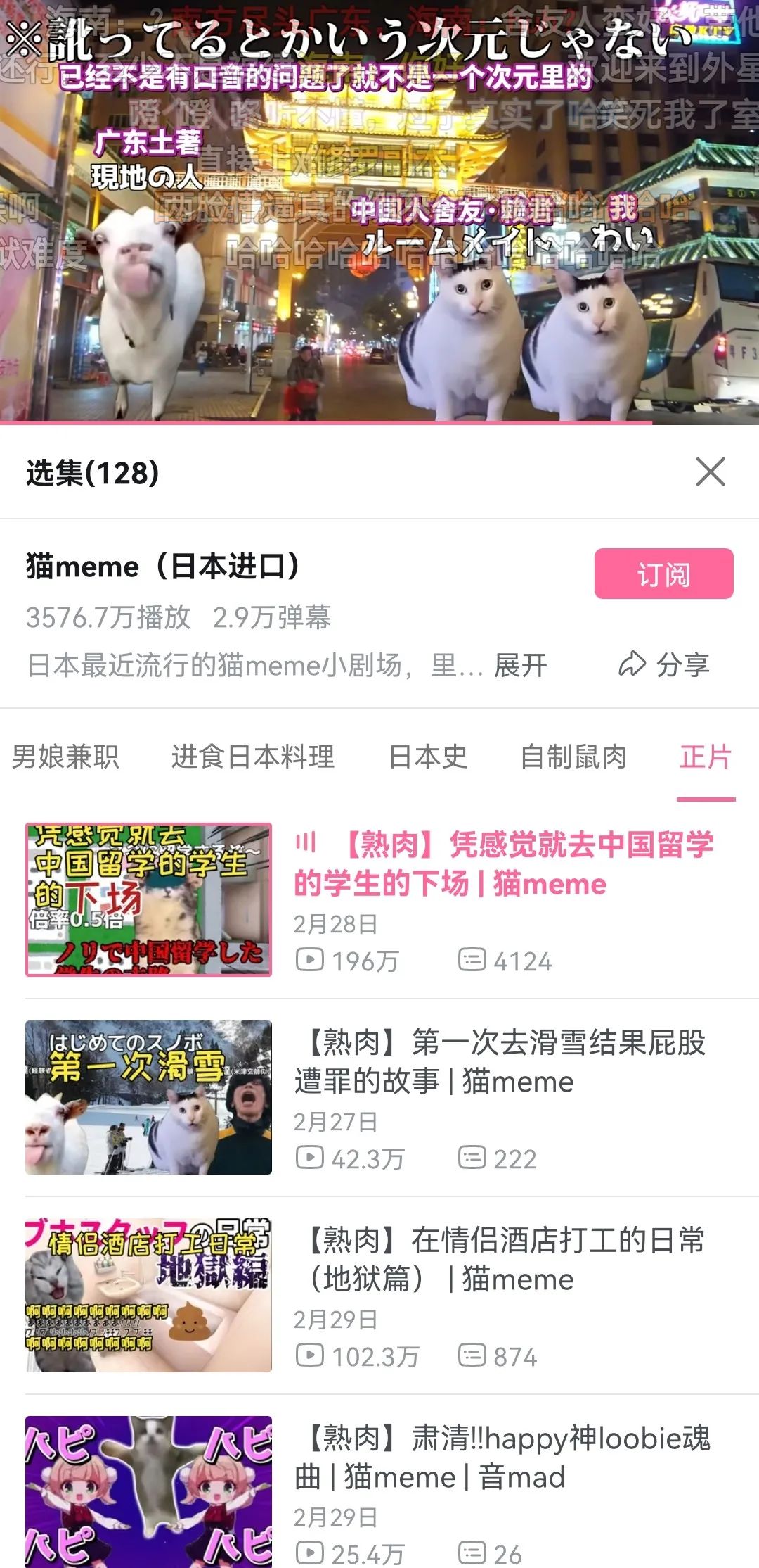 7天B站涨粉20万，&ldquo;猫meme&rdquo;为何风靡全网？