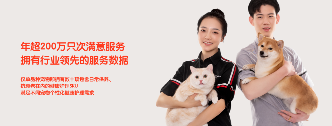 “它经济”,悄然爆火?