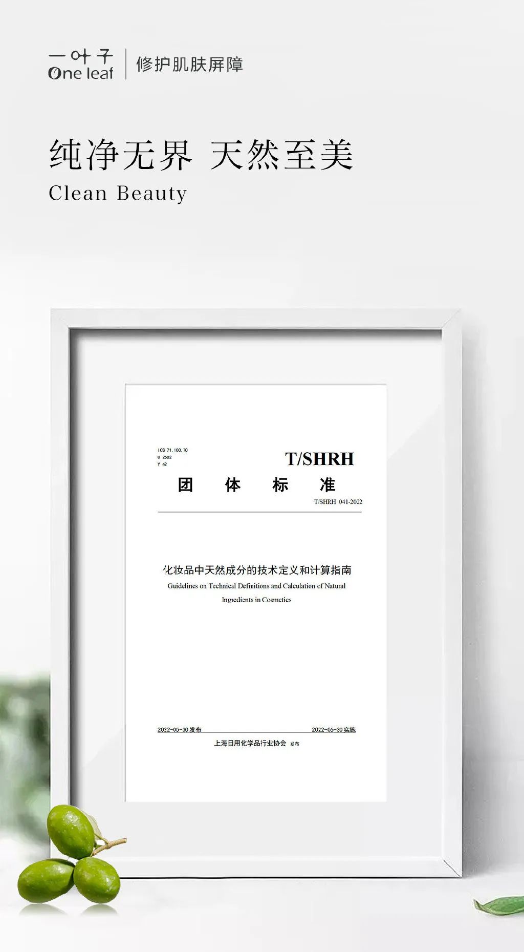 携手艺术家“复活”一只鸟?一叶子与地球展开对话