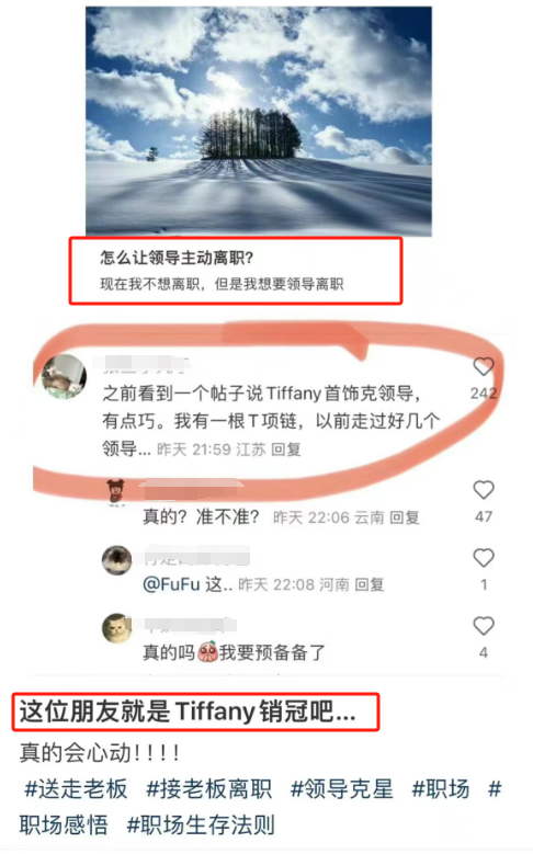 &ldquo;克走领导&rdquo;的Tiffany项链火了！耐克蚌埠住了