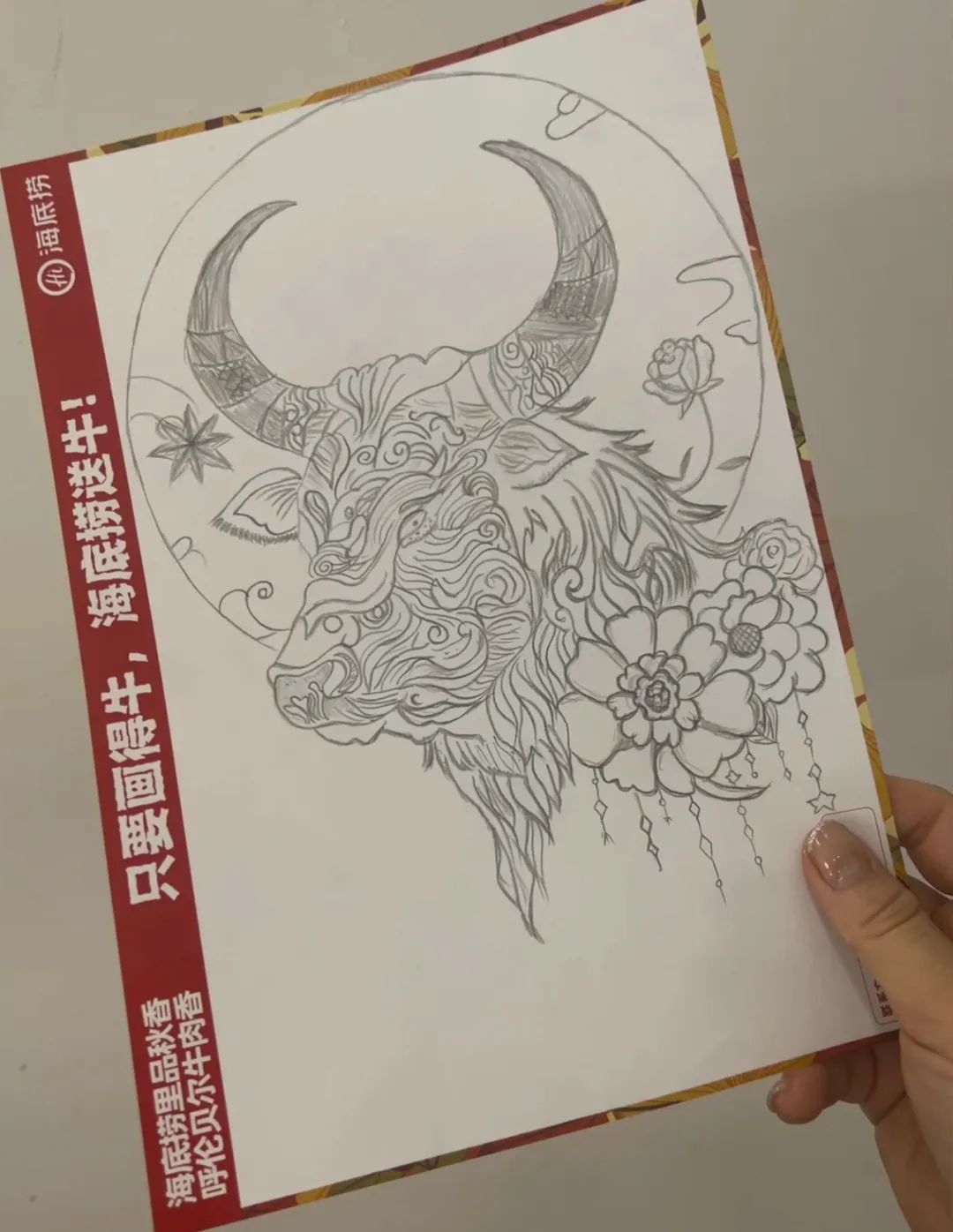 画牛得牛,海底捞真牛!