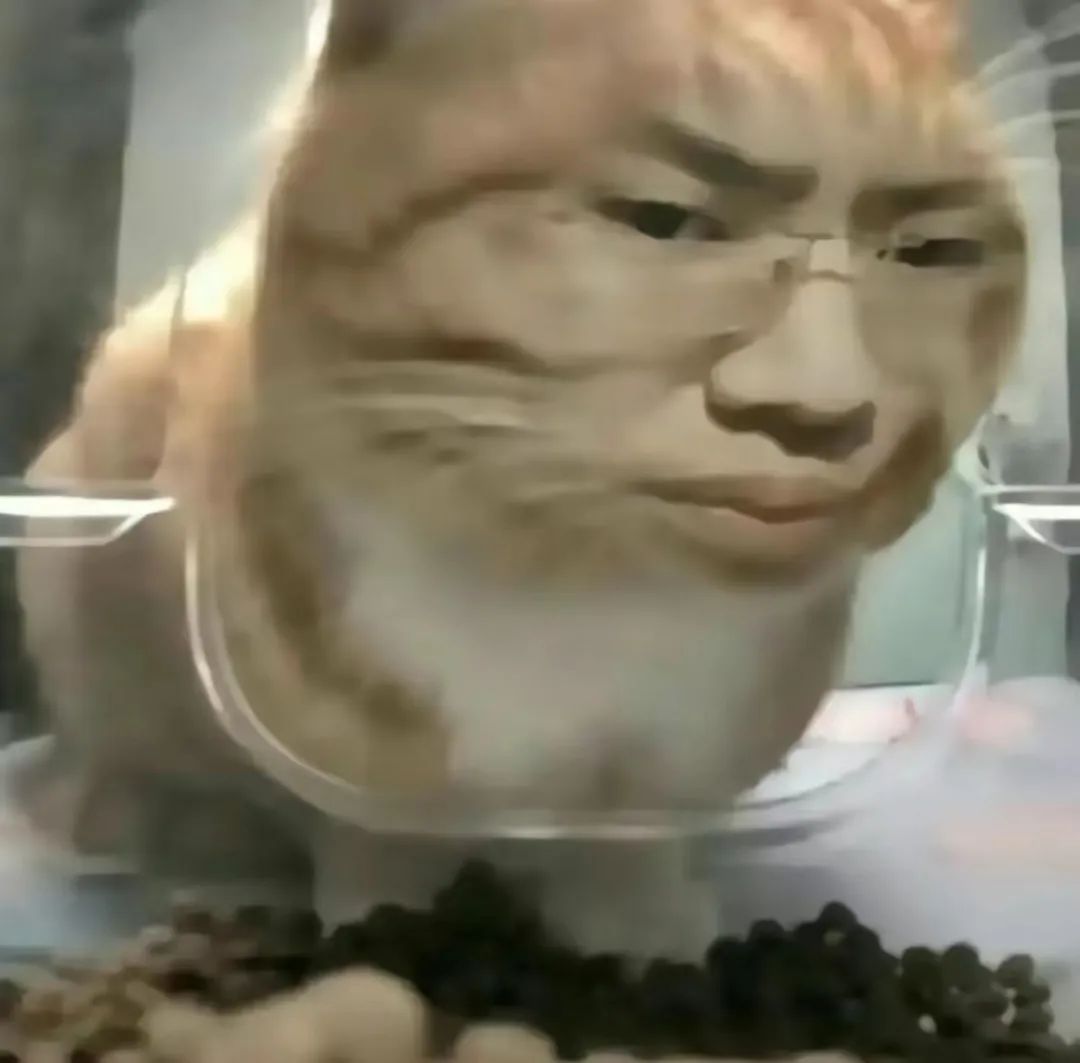 不看文物看黑丝？这个账号3个月狂涨648万粉丝！