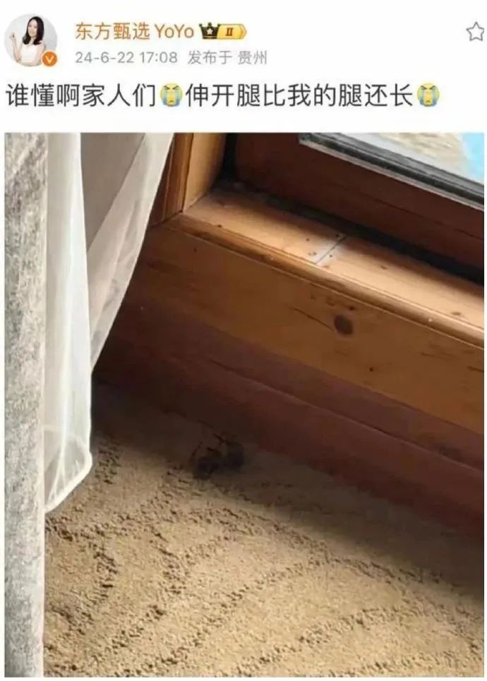 没了董宇辉的东方甄选,又摊上事儿了!