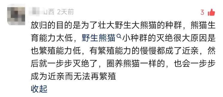 大熊猫保护日,淘宝拍了一支让人爱心爆棚的皮影戏