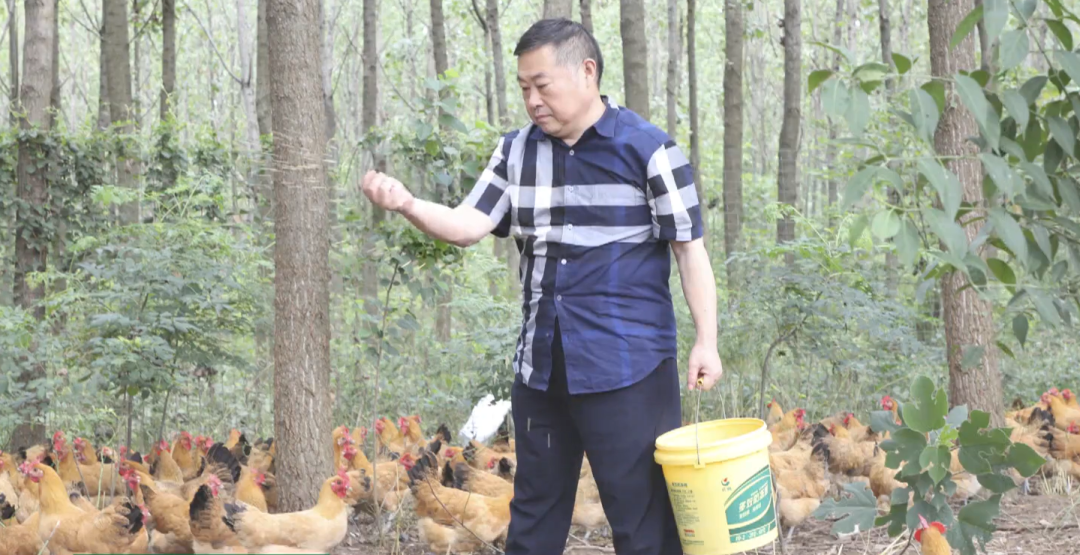 老乡鸡束从轩,对得起每一只鸡