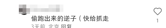 蜜雪冰城“私生子”曝光!网友:雪王塌房了