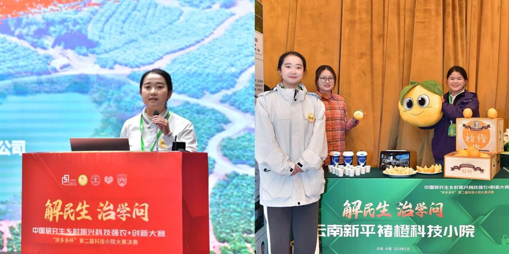 拼多多的“高质量成绩单”,背后做了哪些努力?