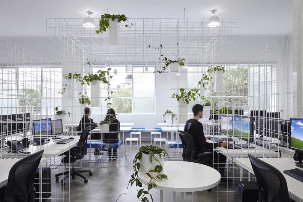 新媒体舞蹈是什么（新媒体舞蹈艺术源流与特质探析）