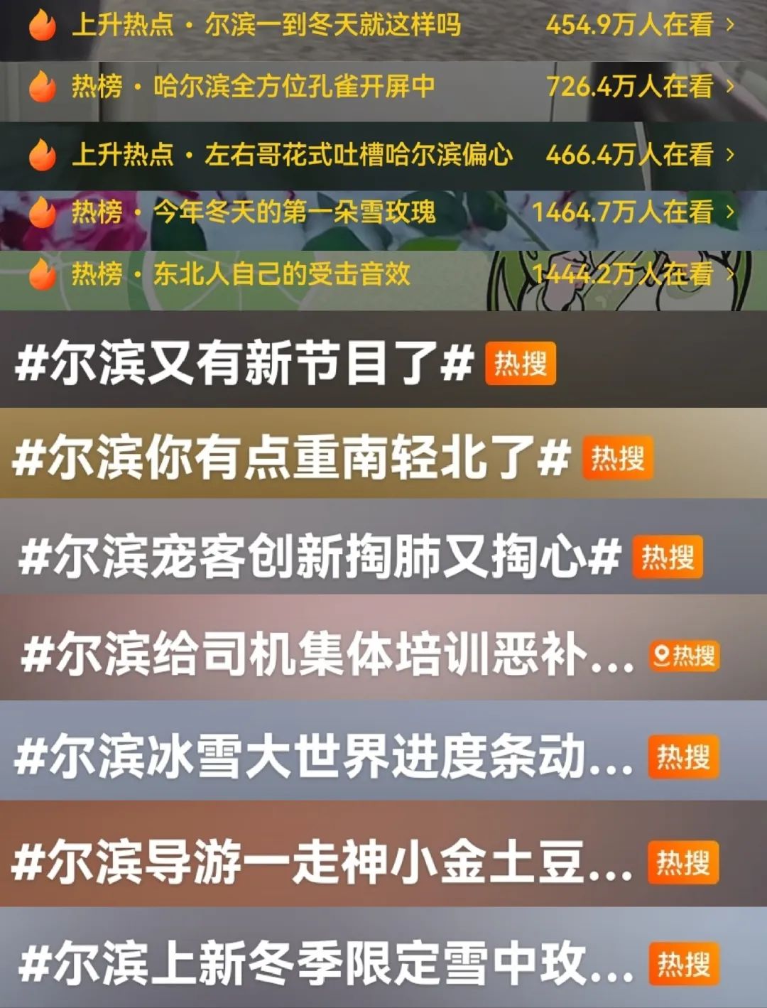 重南轻北?网友:尔滨你又整这死出
