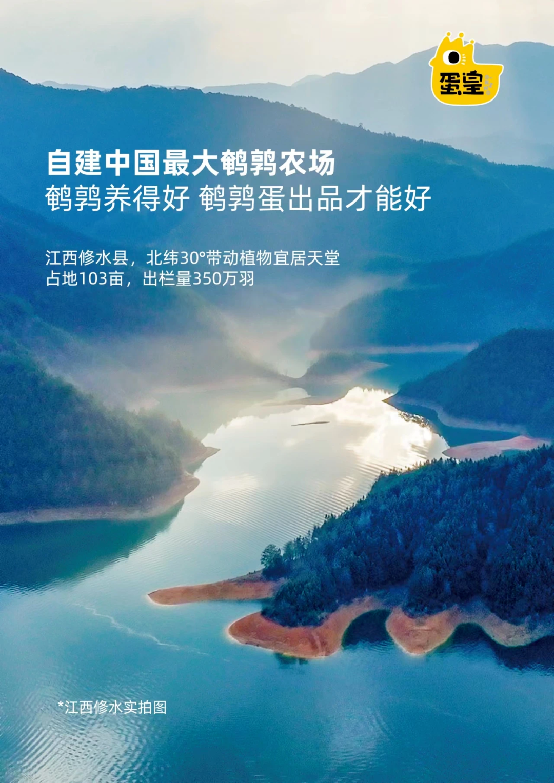 营收、净利创新高,盐津铺子“新中式零食”战略交出高分答卷