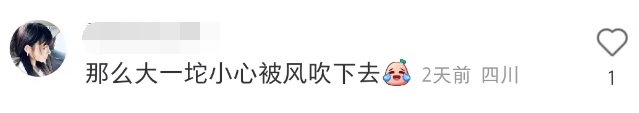 蜜雪冰城“涨价”!震惊全世界景区...