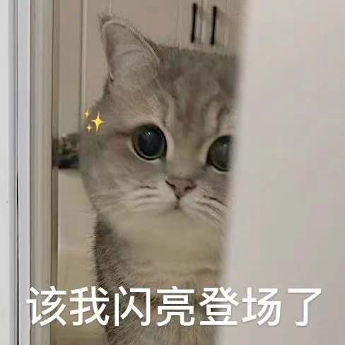 WechatIMG276.jpeg