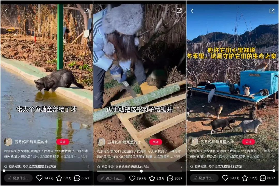 “怼”出百万粉丝,反差感穿搭博主速通小红书