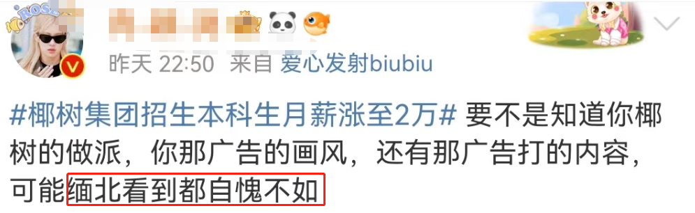 椰树招聘又火了!网友:缅北看到都自愧不如