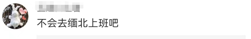 椰树招聘又火了!网友:缅北看到都自愧不如