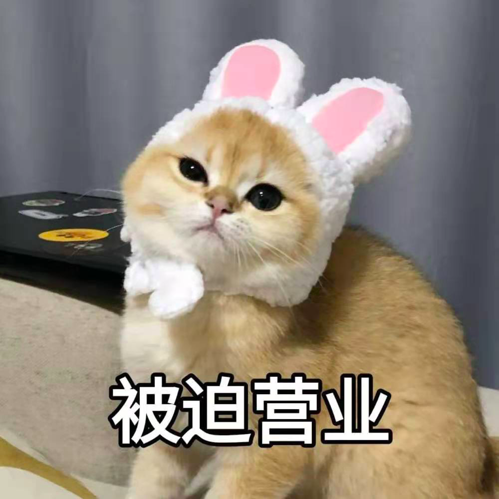 image.png image.png