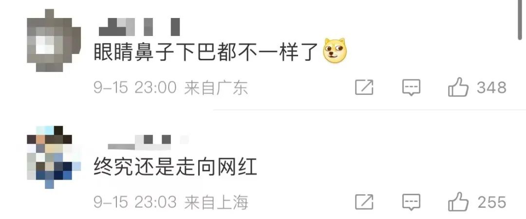 中国第一网红,销声匿迹