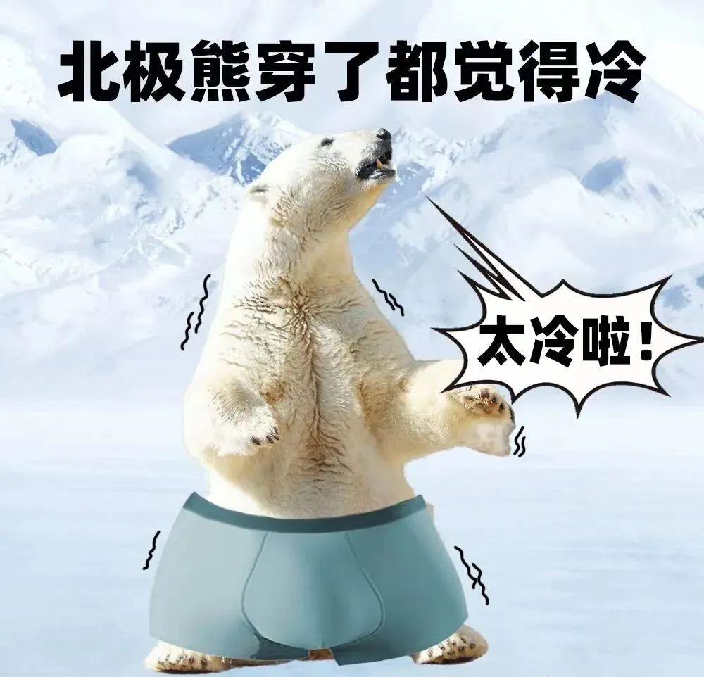 网友为内裤品牌写的卖货文案，路子太&ldquo;野&rdquo;了!