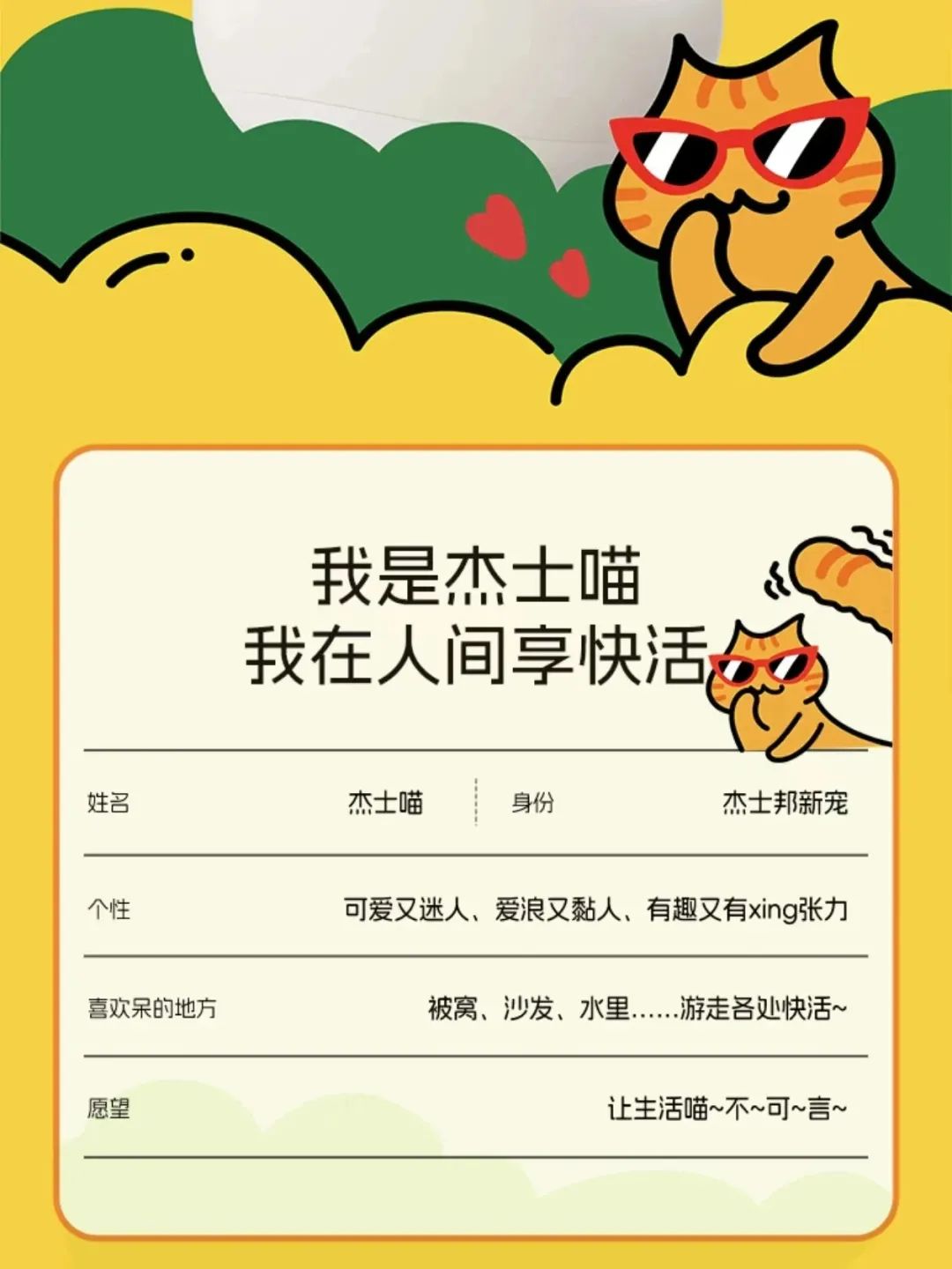 杰士邦勇闯宠物界,靠“一只猫”打响IP新战役