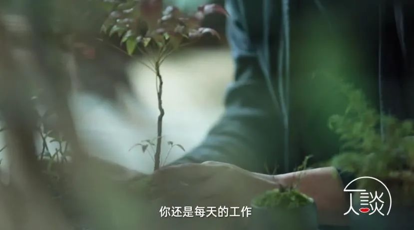 经济下行,要不要回老家,找一份“铁饭碗”的工作?