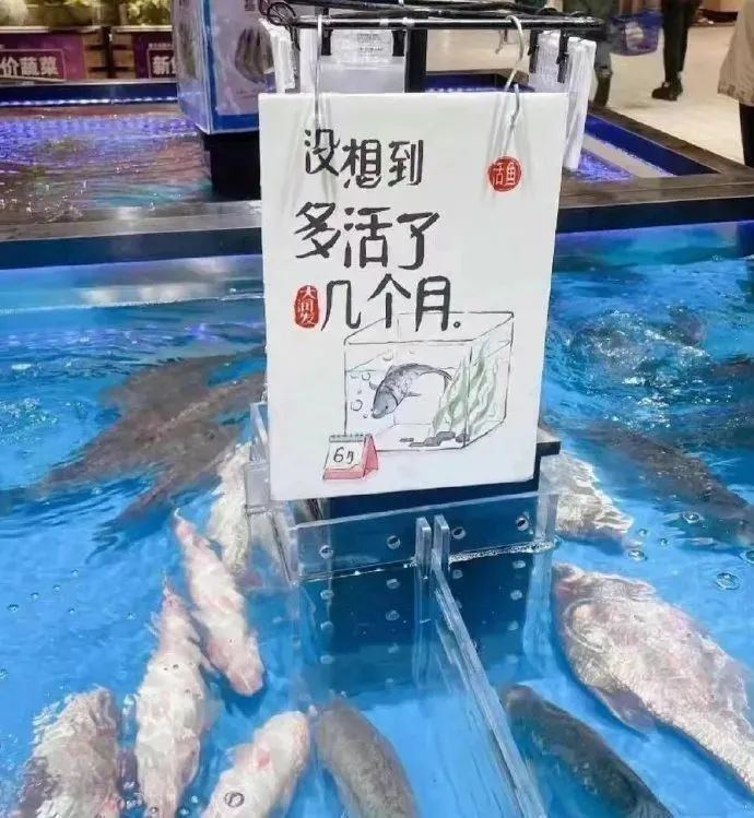 网友打假“小润发”?大润发:这是我的孩子…..