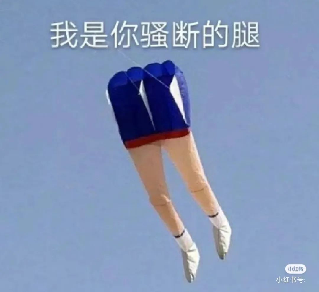 除了秦始皇变形计，雪王和天猫也被潍坊放了风筝