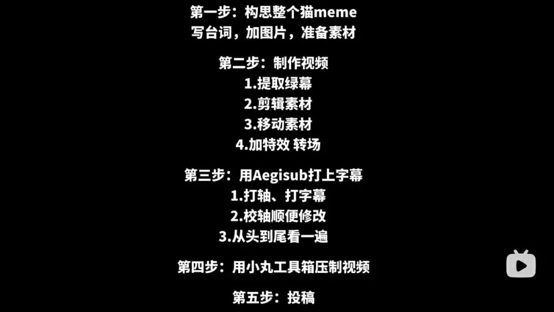 在小红书2天涨粉2万，&ldquo;猫meme&rdquo;成流量密码？