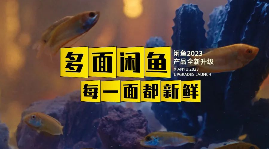 品牌&ldquo;多面&rdquo;焕新！闲鱼在玩一种很&ldquo;新鲜&rdquo;的升级