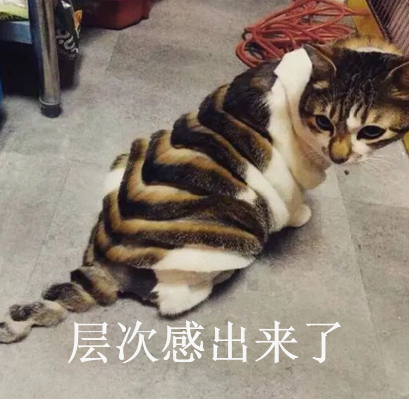 数据分析思维太多了,记不住咋办